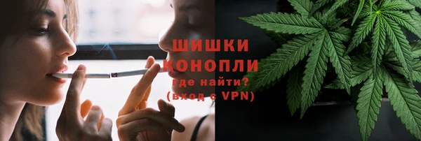 ешки Михайлов
