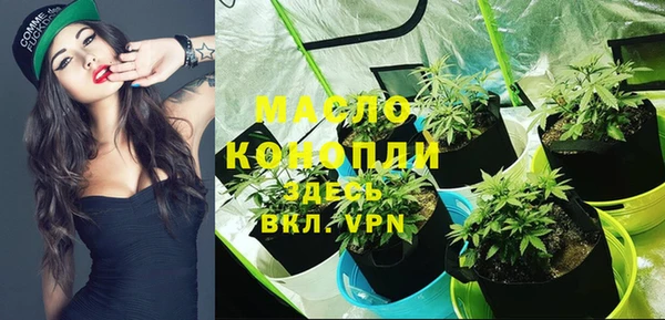 ешки Михайлов