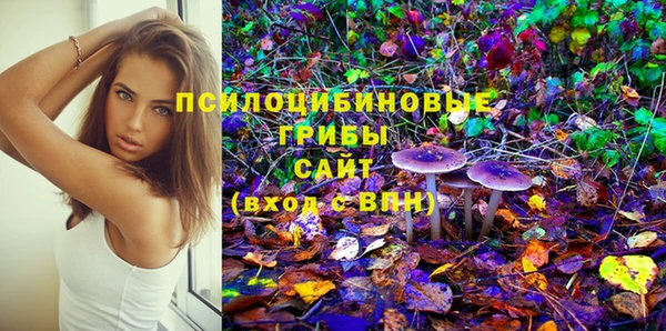 ешки Михайлов