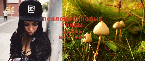 сатива Михайловка