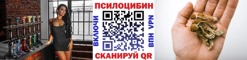 Галлюциногенные грибы мицелий  Купить  Красный Кут 